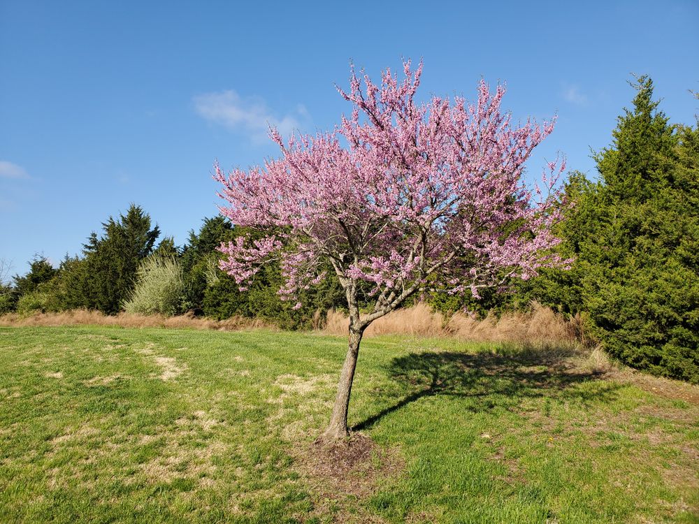 View of Bryan C. Pottberg Park