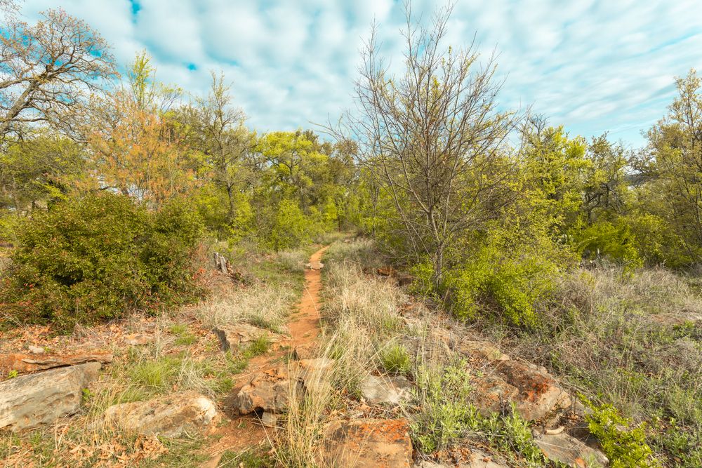 Trail at Lake Brownwood State Park