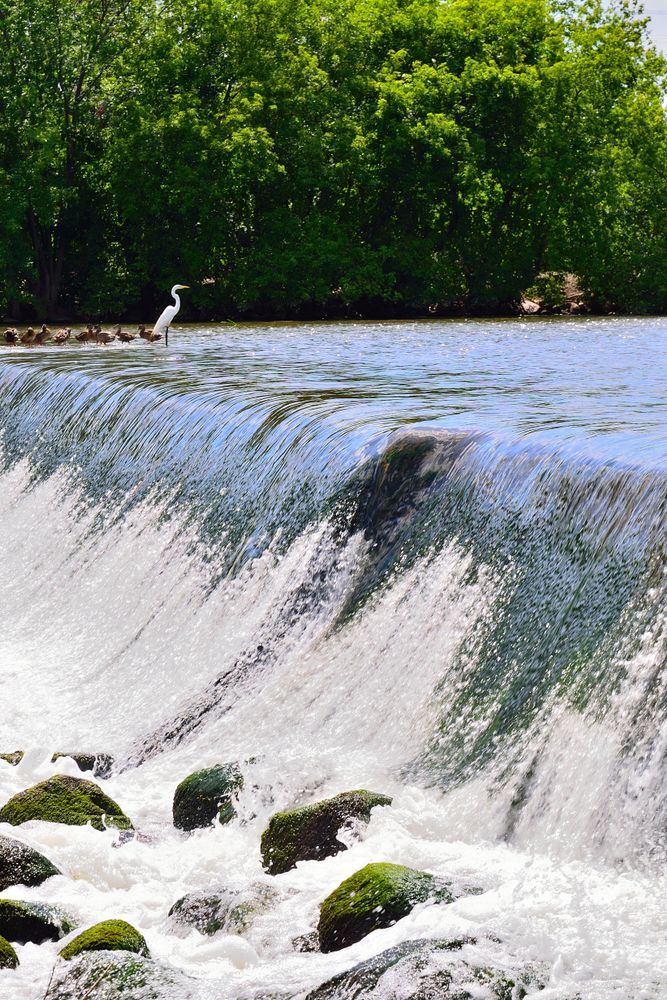 Water flowing out a dam of White River.