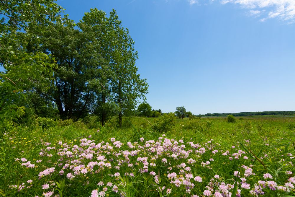 Beautiful landscape at Richard Bong State Recreation Area.