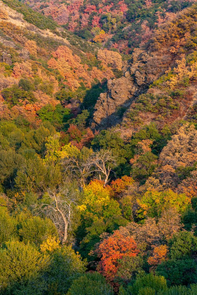 Aerial view of Holbrook Canyon