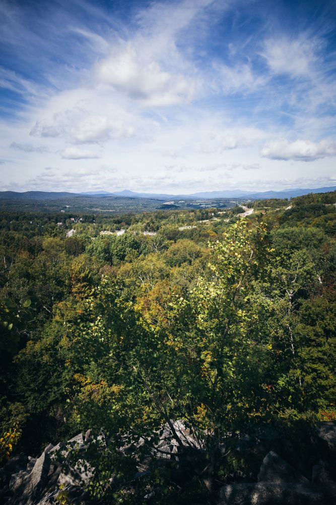 Nature view from Barre Town Forest