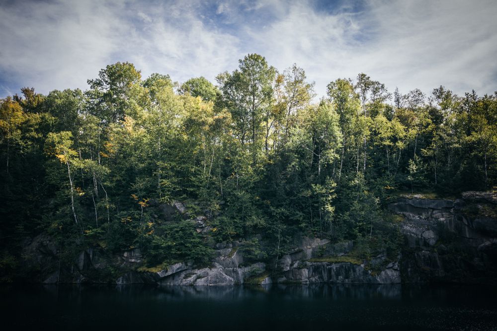 Waters of Barre Town Forest's lake