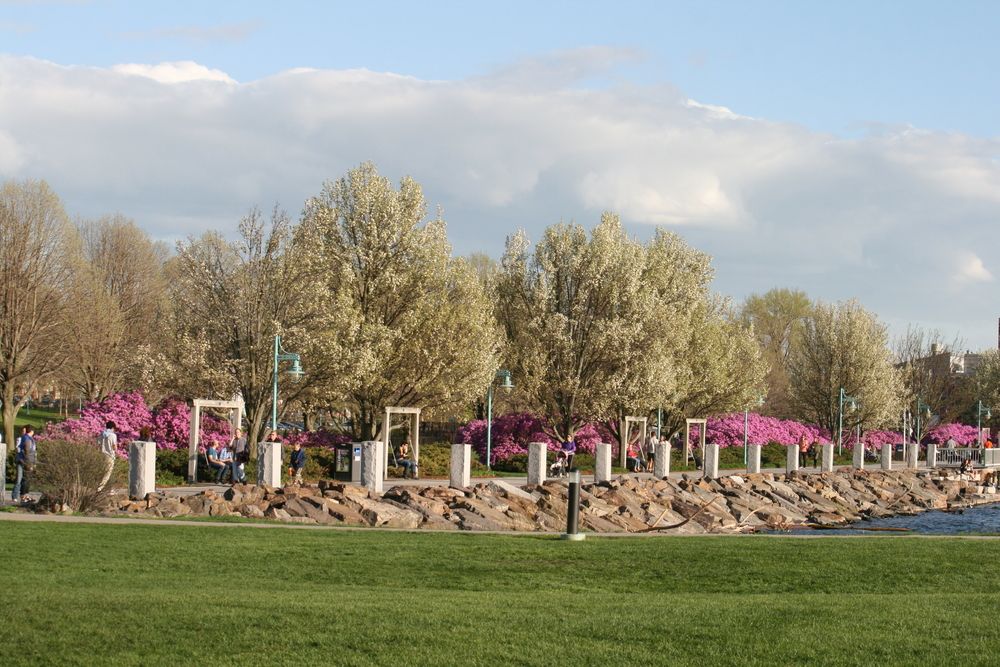 Trail of Waterfront Park
