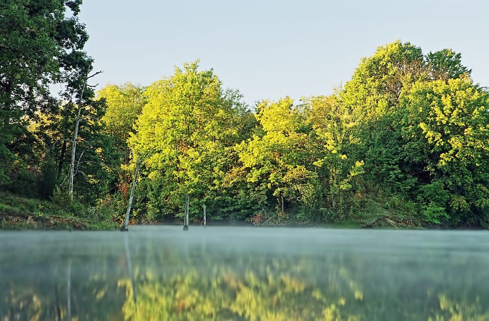 Scenic View of Lake Sara