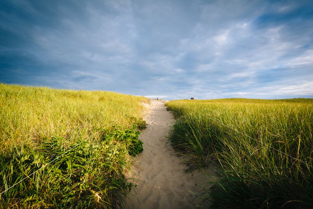 View of Cape Cod National Seashore