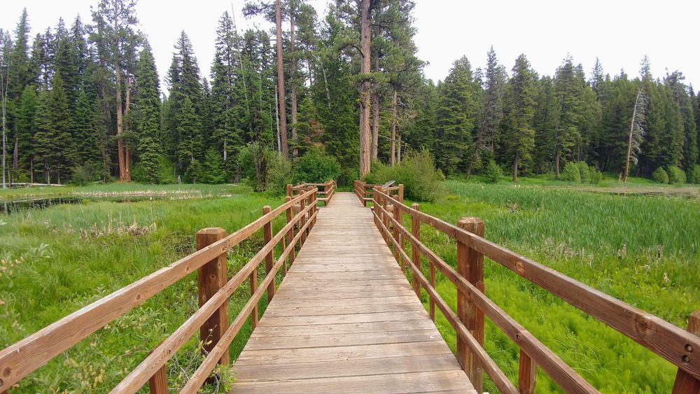 A boardwalk at Ponderosa State Park