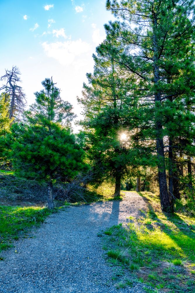 A trail at Ponderosa State Park