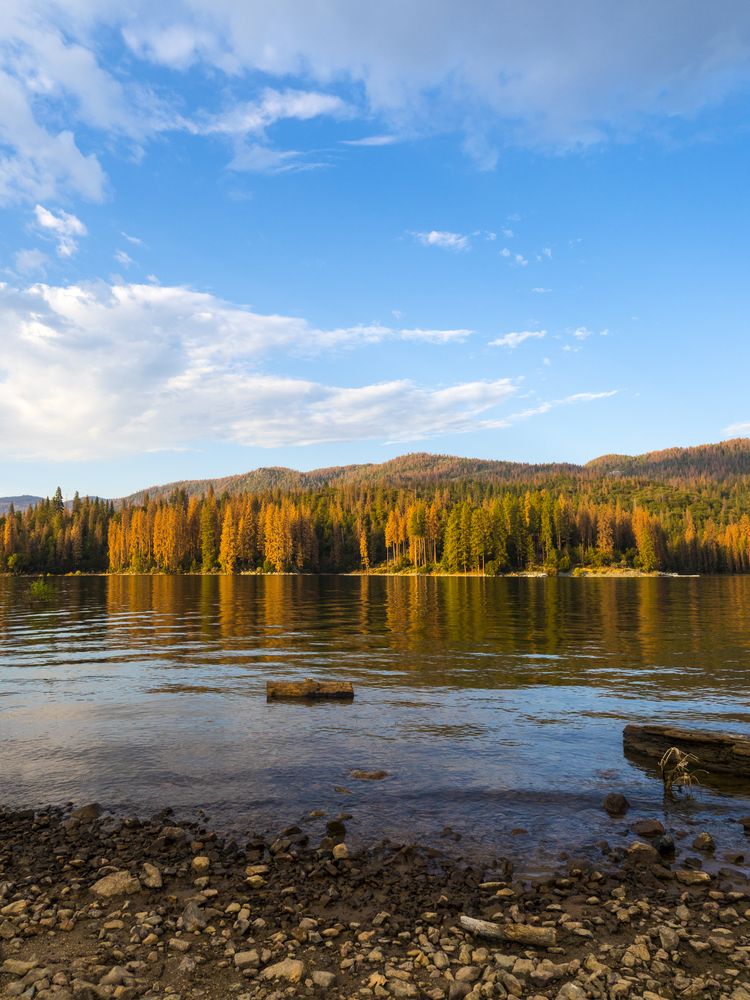 Scenic view of Bass Lake