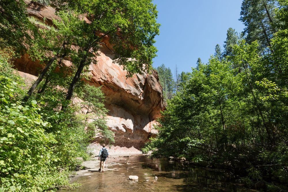 A hiker at Oak Creek Canyon