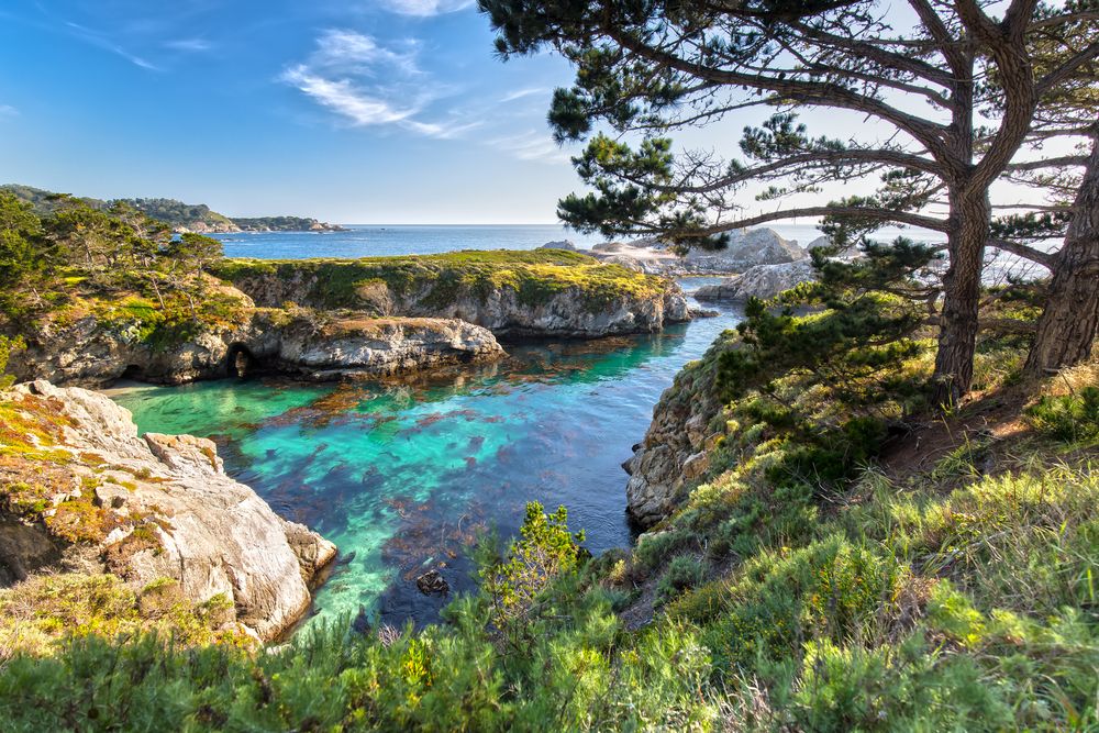 Scenic view of Point Lobos State Natural Reserve