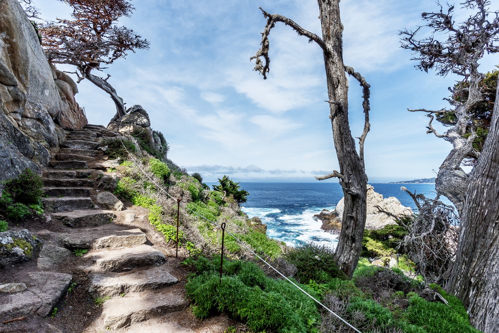 Hiking steps at Point Lobos State Natural Reserve