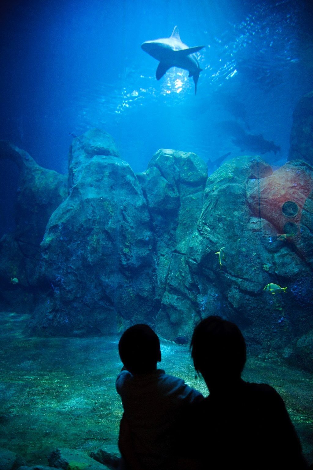 Interior of Adventure Aquarium