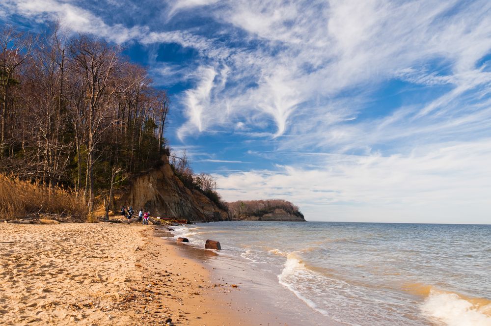 Daytime view of Calvert Cliffs State Park