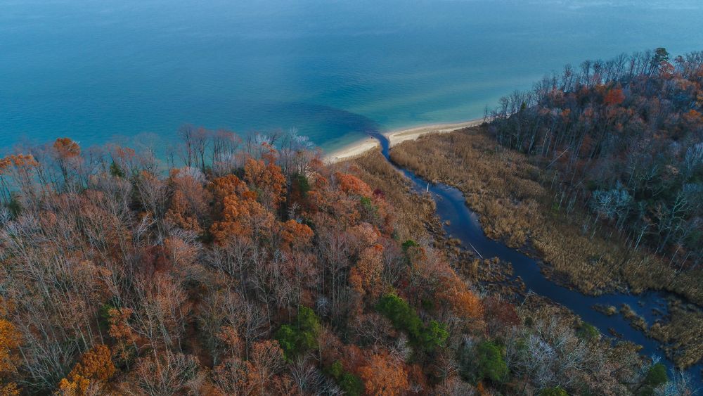 Aerial view of the beautiful Calvert Cliffs State Park