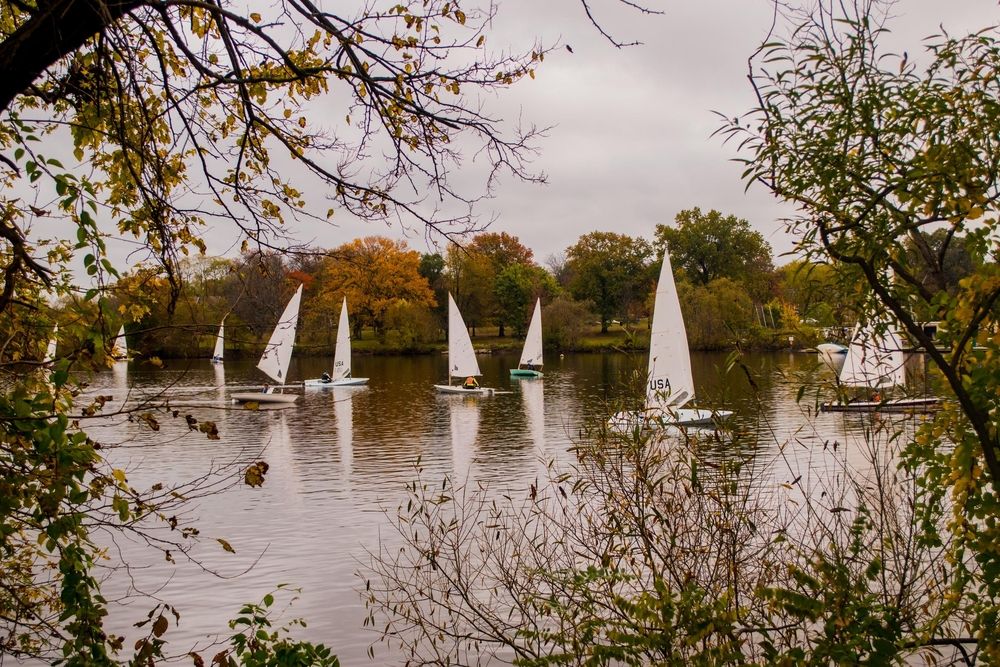 Sailboats at Cooper River Park