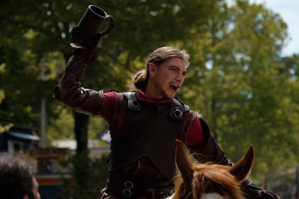 Jouster at the Georgia Renaissance Festival