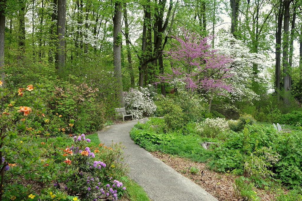 Trail lined with flowers at Jenkins Arboretum & Gardens