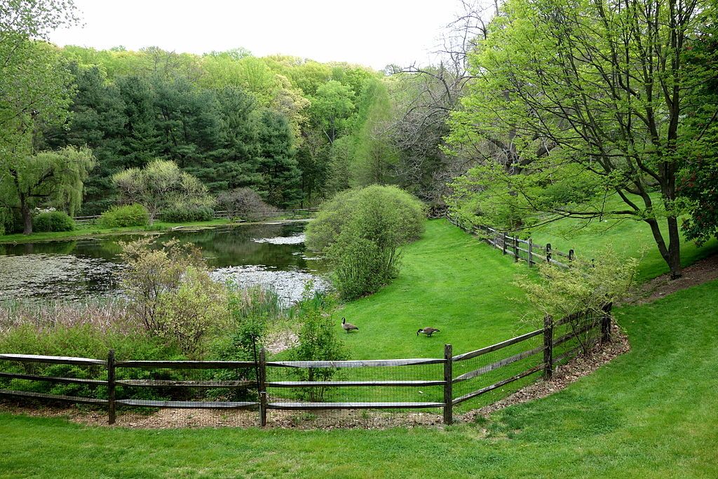 The waters of Jenkins Arboretum & Gardens