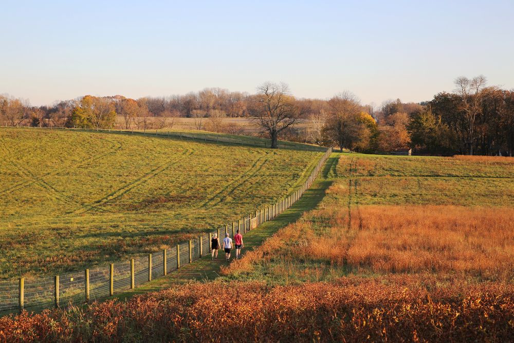Landscape of Natural Lands' Stroud Preserve