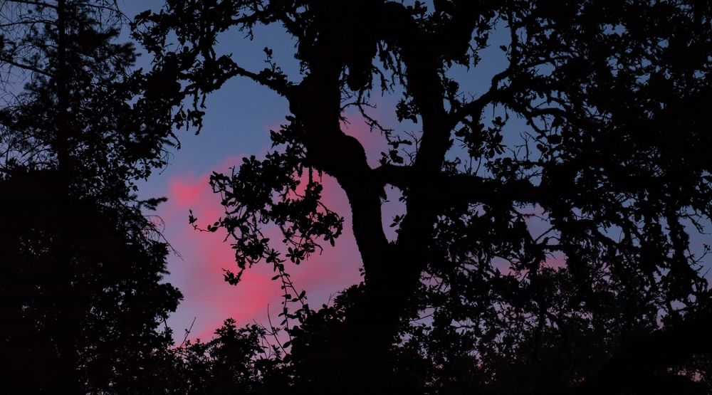 Scenic sunset at Bothe-Napa Valley State Park