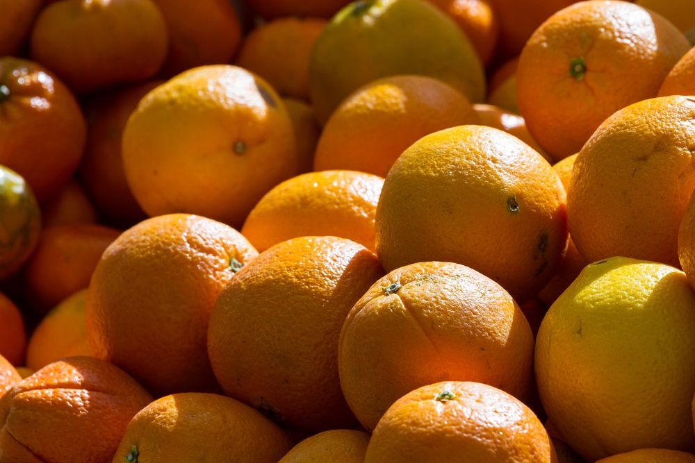 Oranges at Calistoga Farmers' Market