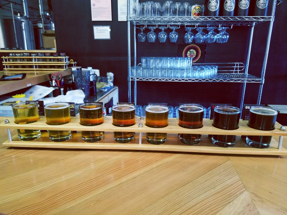 Beer tasting flight in Epidemic Ales