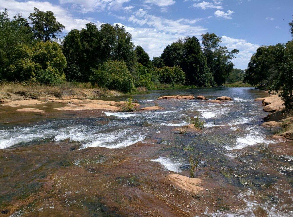 The waters of William B. Pond Recreation Area