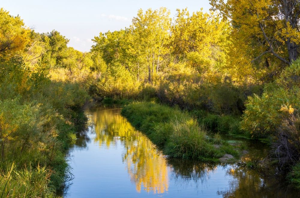 Waters at Cherry Creek Valley Ecological Park