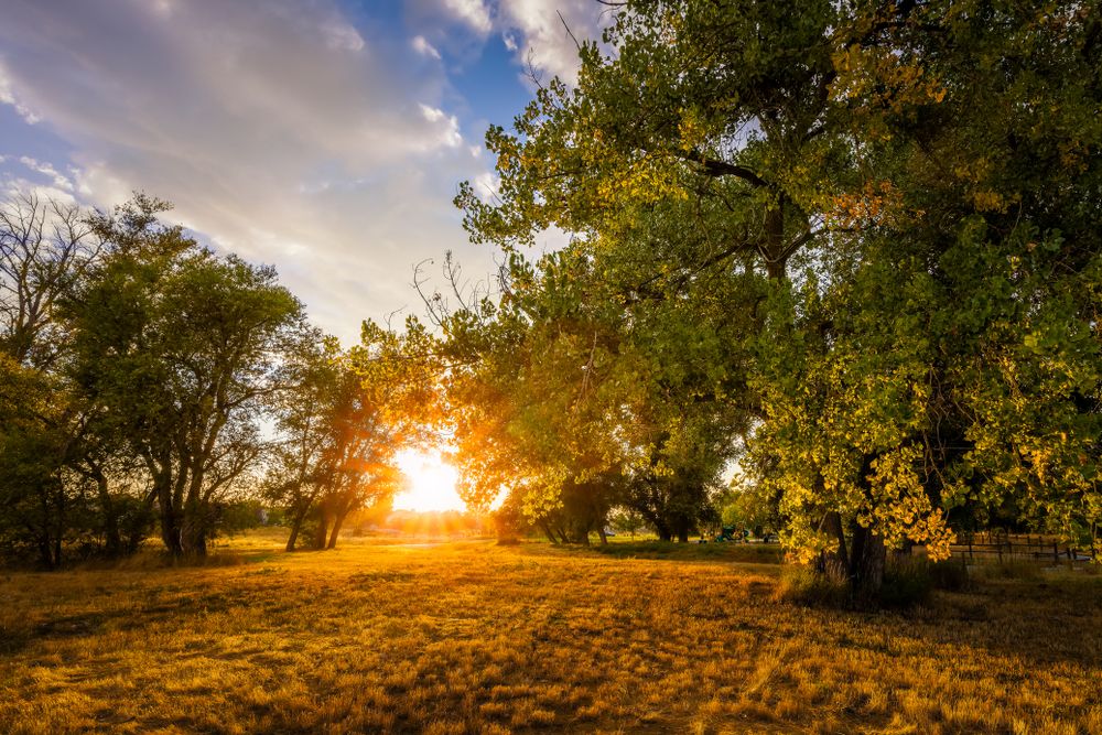 Sunset at Cottonwood Park West