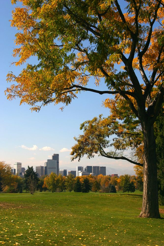 The grounds of Denver City Park