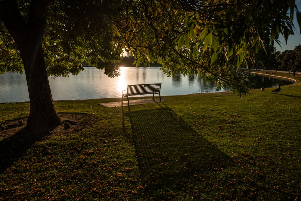 Bench overlooking the waters at Denver City Park