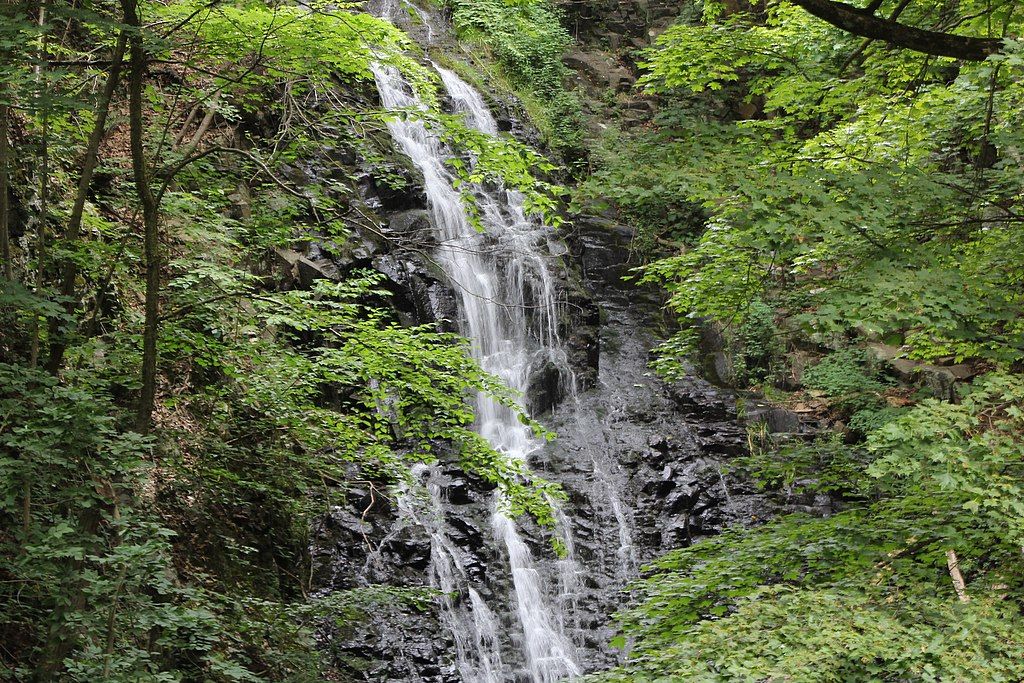 The beautiful waterfall of Roaring Brook Park