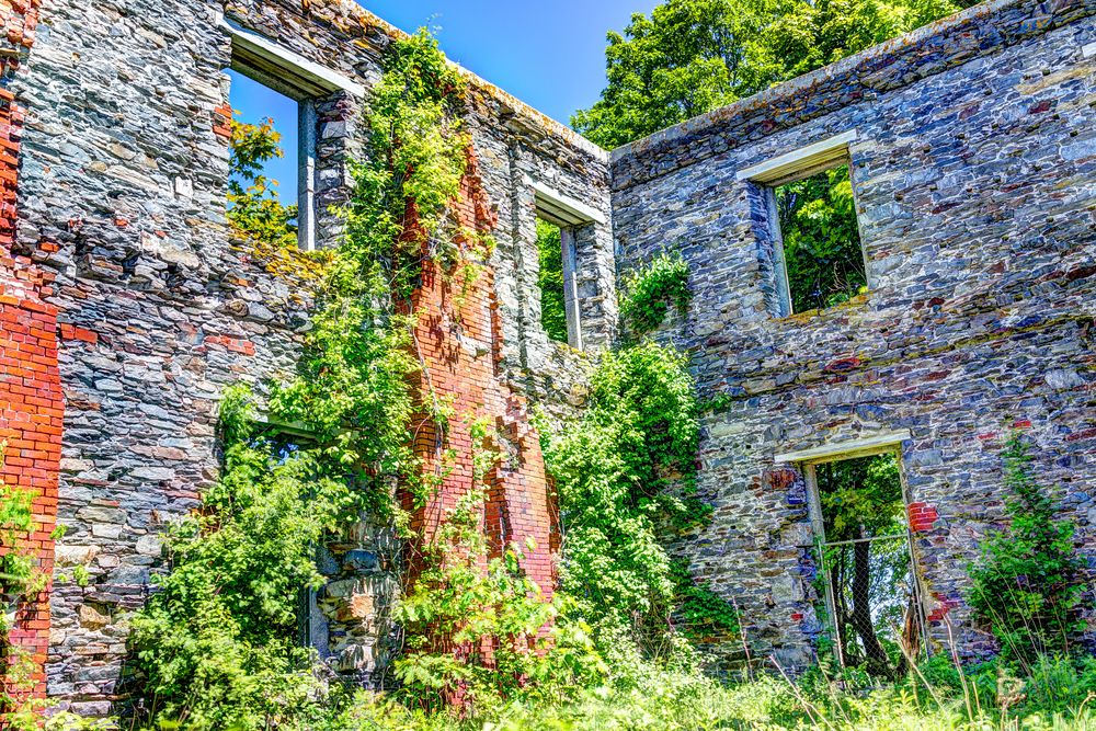 View inside the Ruins of Goddard Mansion
