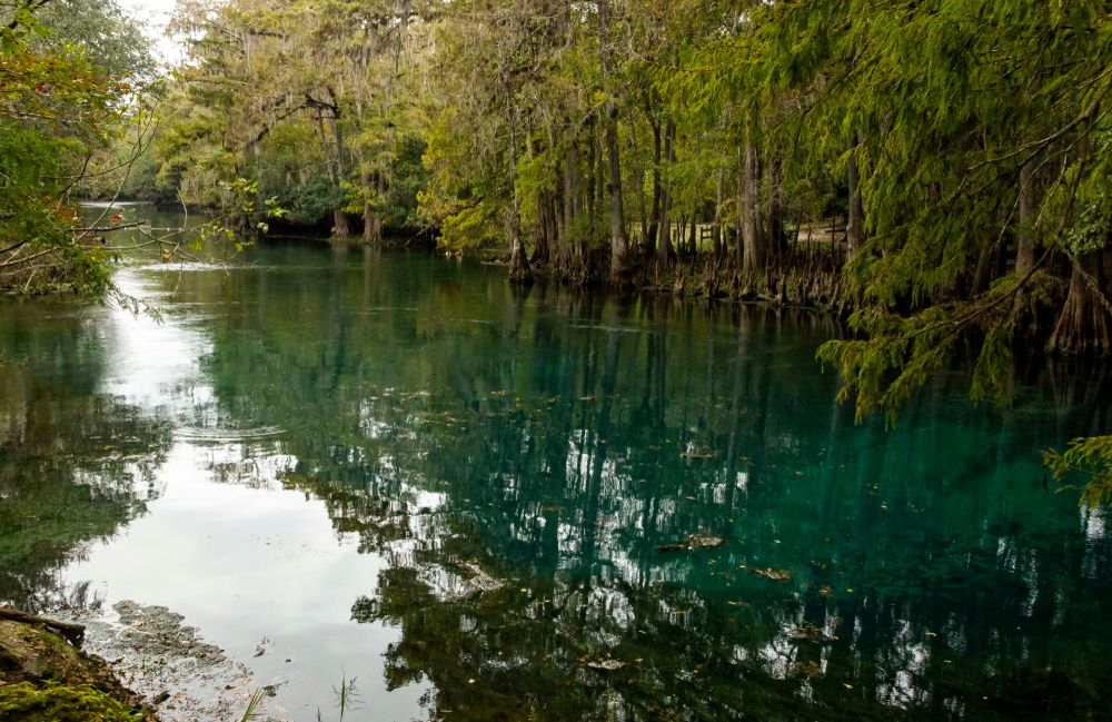 The waters of Manatee Springs State Park