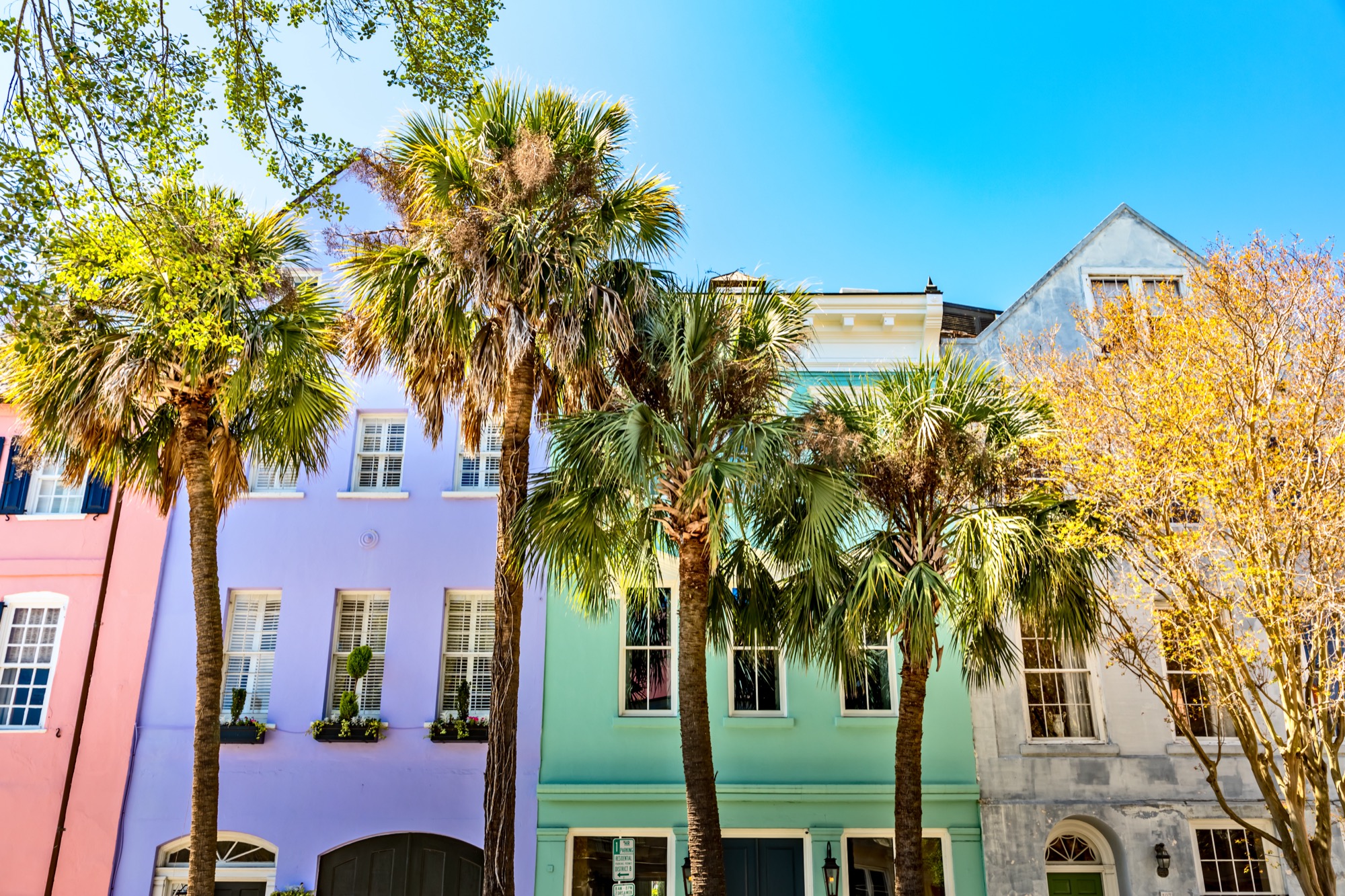 Charleston's Historic District