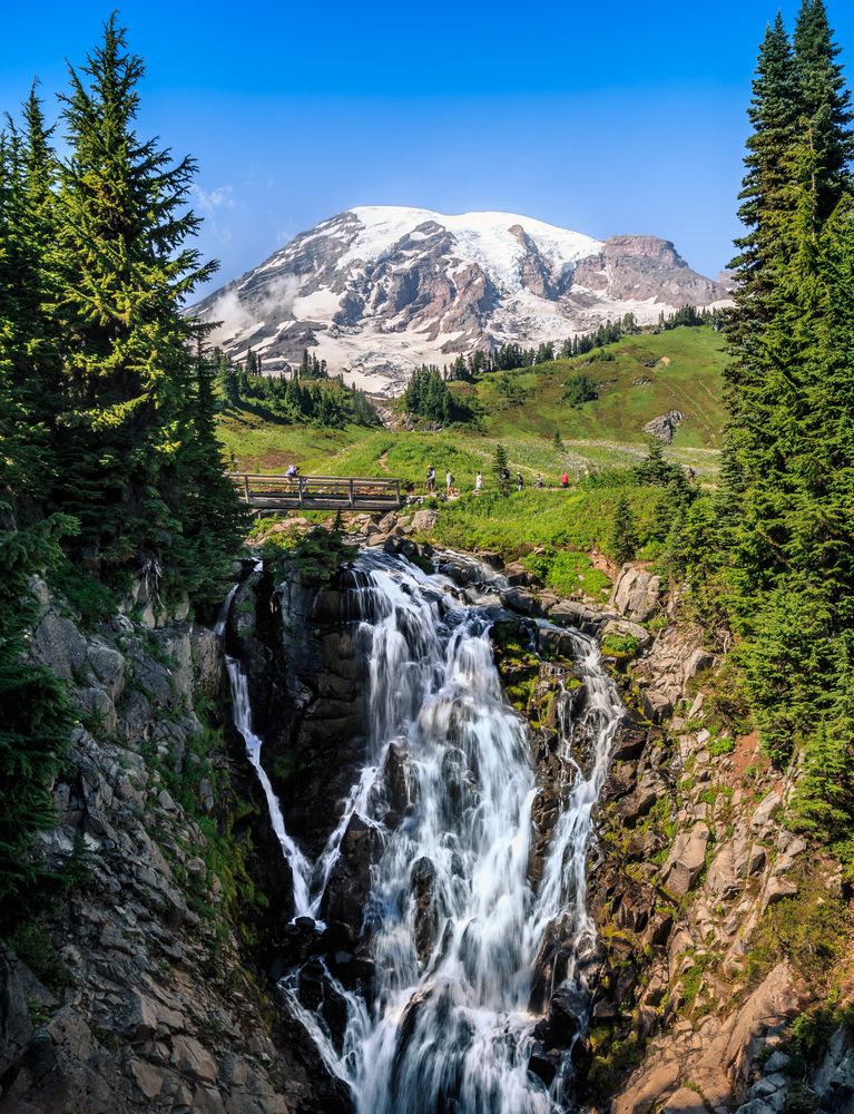 Views at Mount Rainier National Park