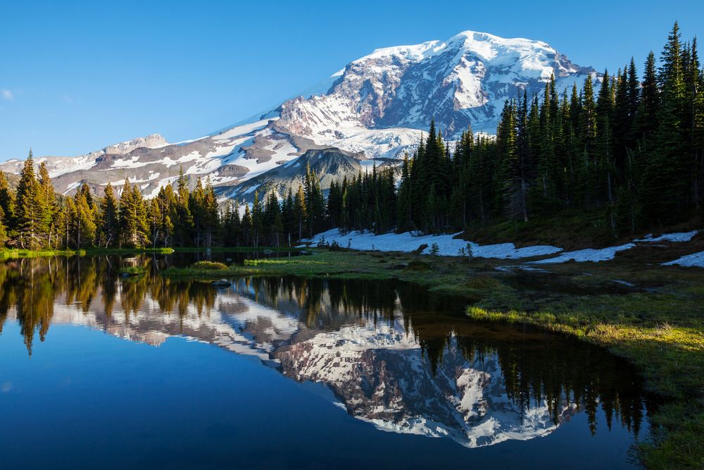 Views at Mount Rainier National Park