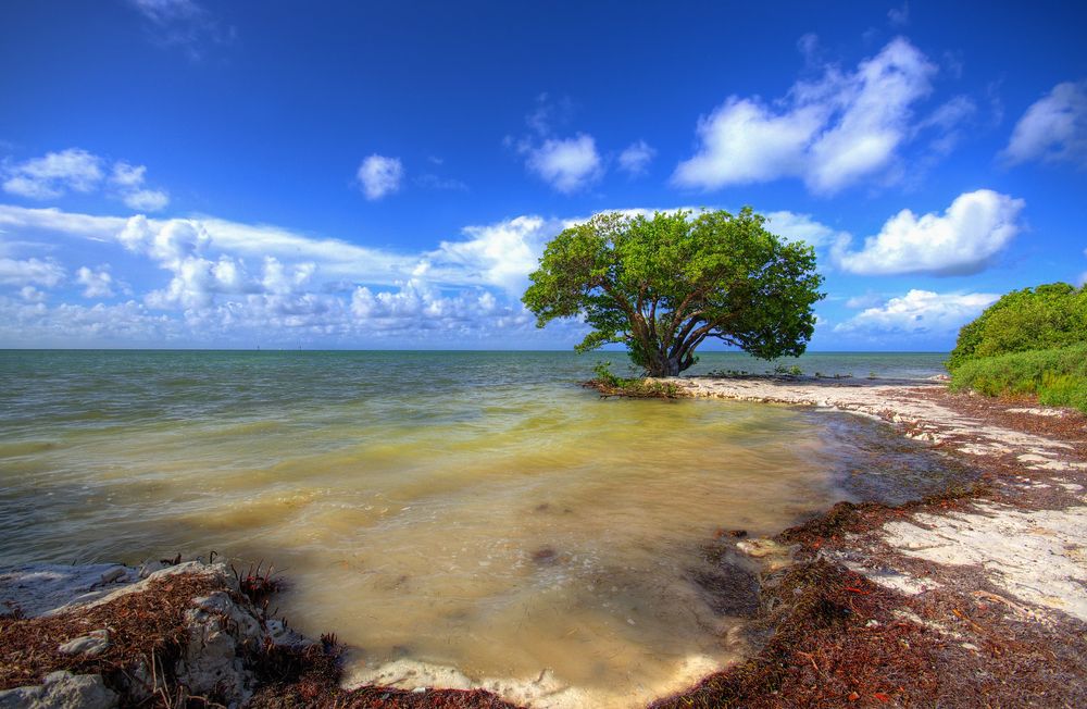 The waters of Anne Beach