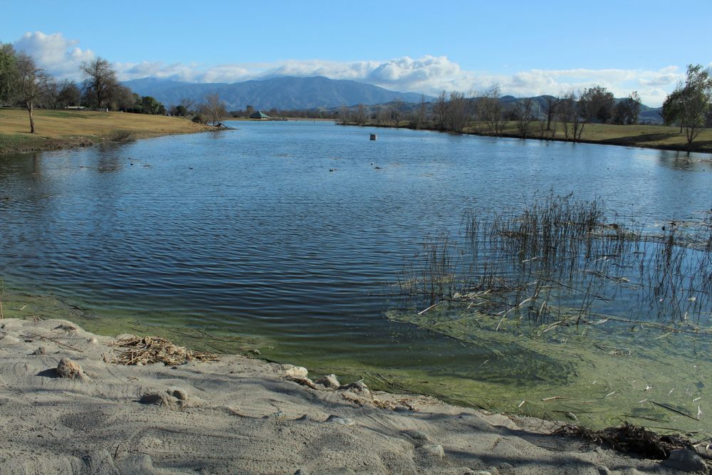 Blue skies and waters of a lake at Prado Regional Park.