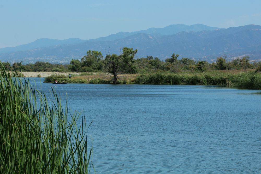 Lake view at the Prado Regional Park.