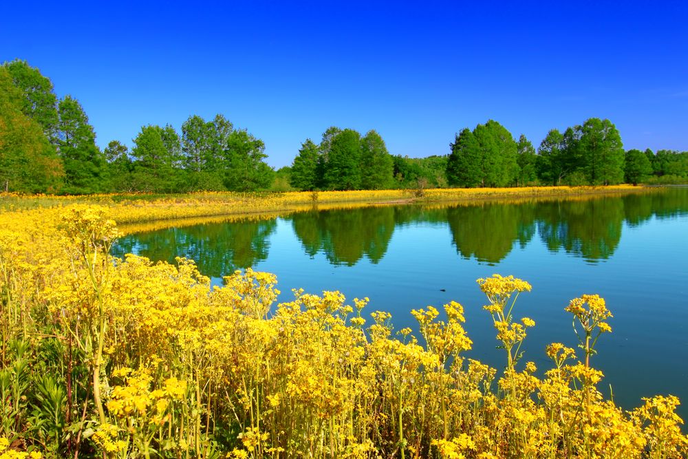 Scenic view of Eldon Hazlet Recreational Area