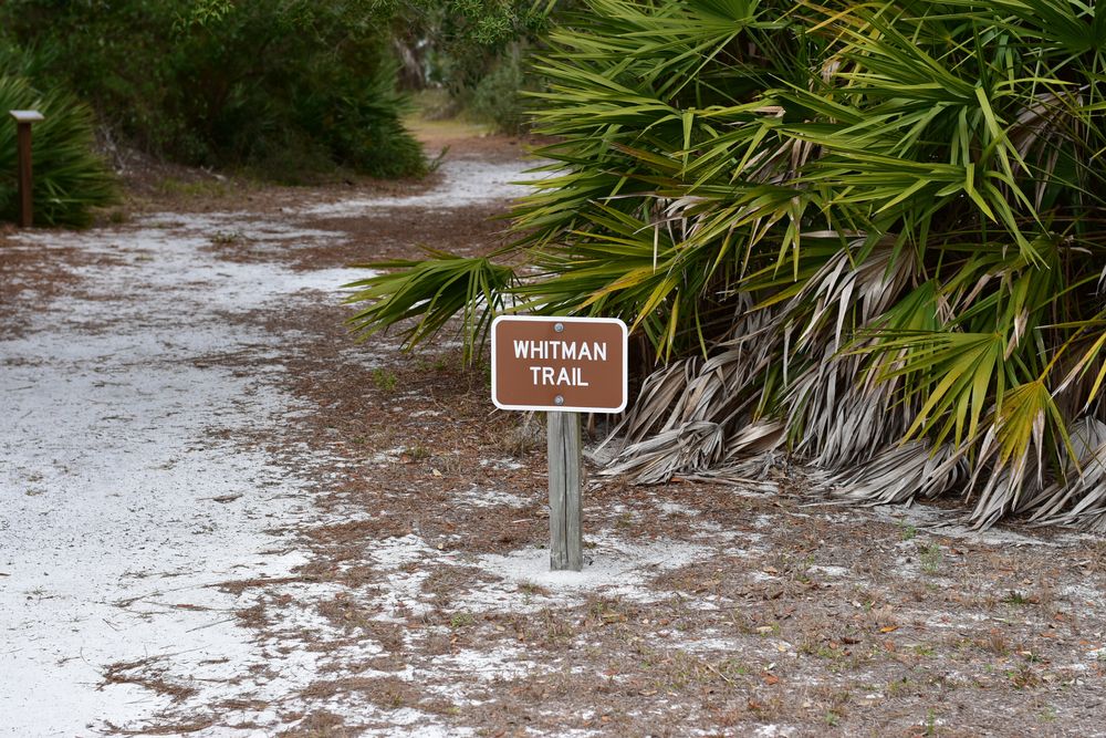 Whitman trail at Cedar Key Museum State Park