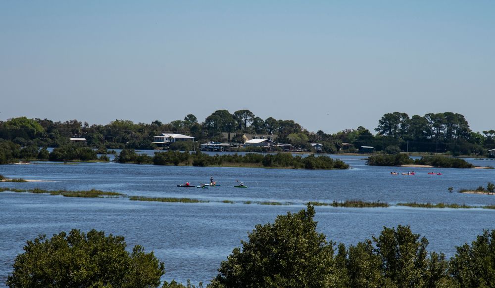 Group of kayakers on Cedar Key water