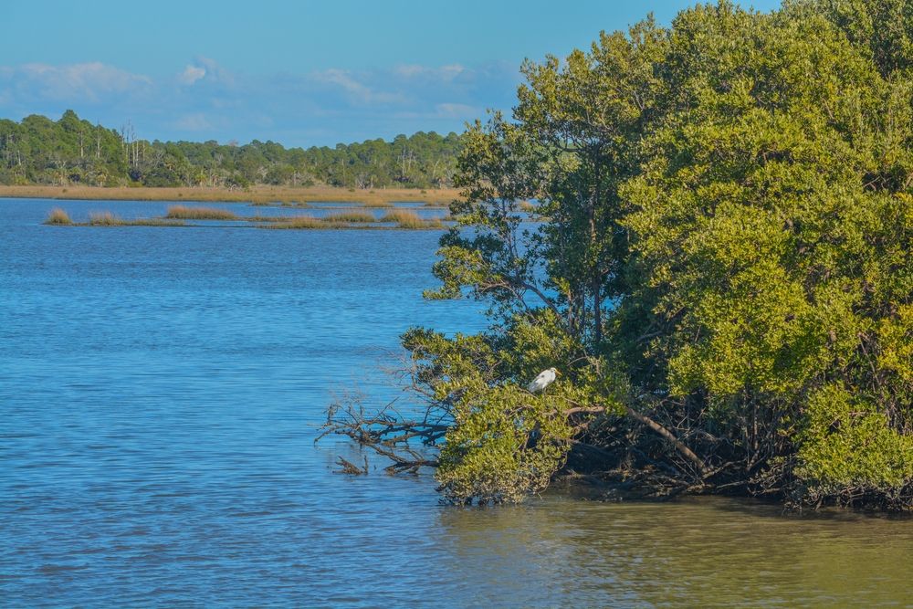 The waters of Cedar Keys National Wildlife Refuge