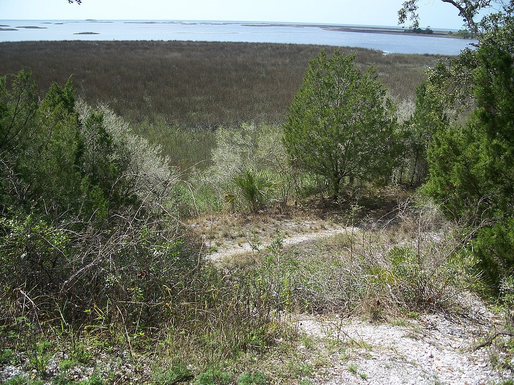 Trail at Shell Mound Campground