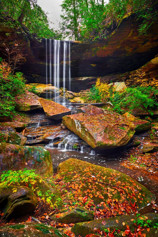 Scenic view of the Vanhook Falls