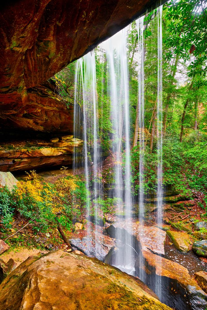 View behind the Vanhook Falls