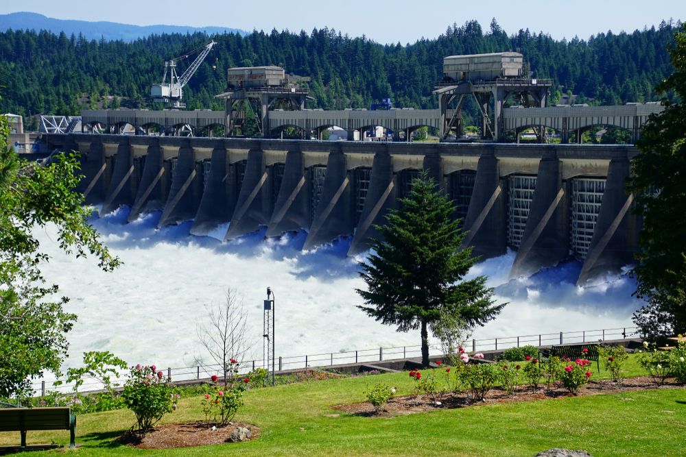 Water spills through Bonneville Dam