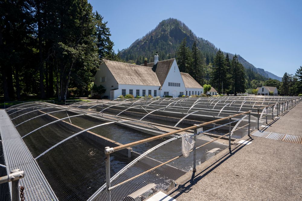 Daytime view of Bonneville Hatchery